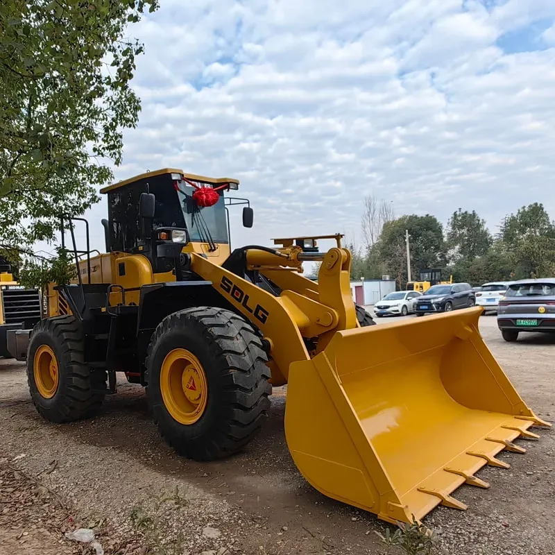 UsedSdlg 956LLoader