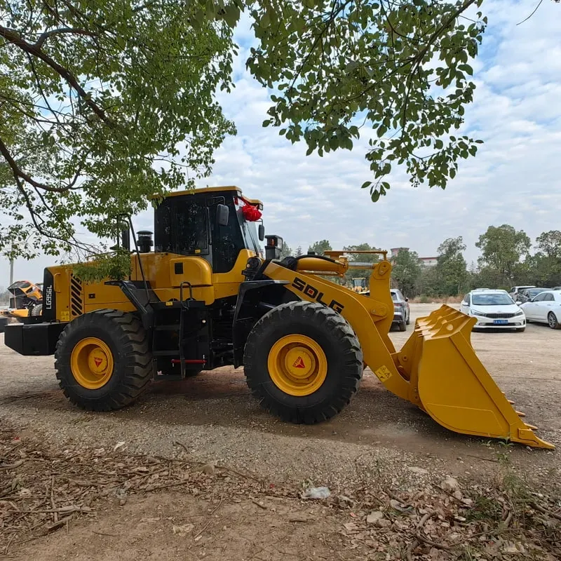 UsedSdlg 956LLoader