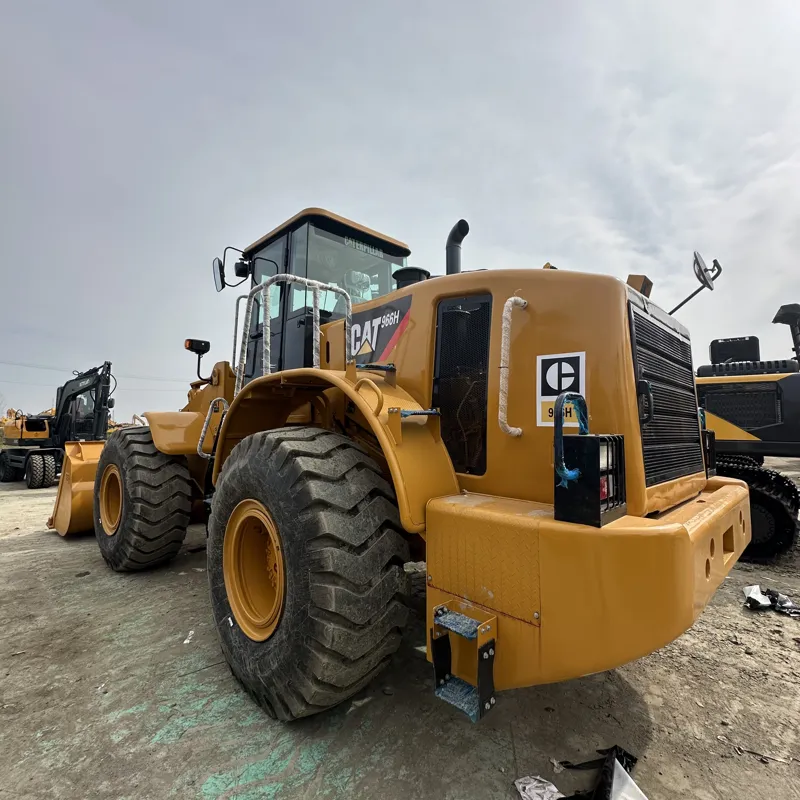 UsedSdlg 956LLoader